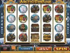 Arctic Fortune